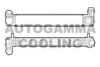AUTOGAMMA 107473 Intercooler, charger